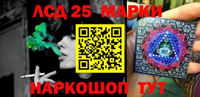 прущие грибы Севастополь