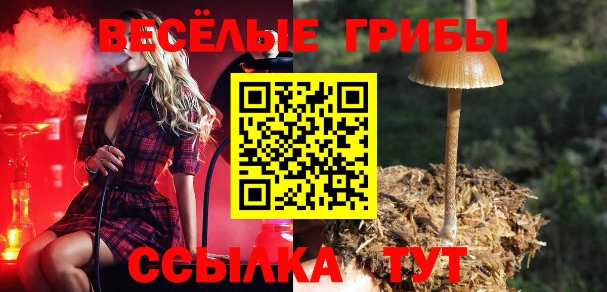 Новороссийск  Галлюциногенные грибы GOLDEN TEACHER  Псилоцибиновые грибы Cubensis  Вход с VPN 