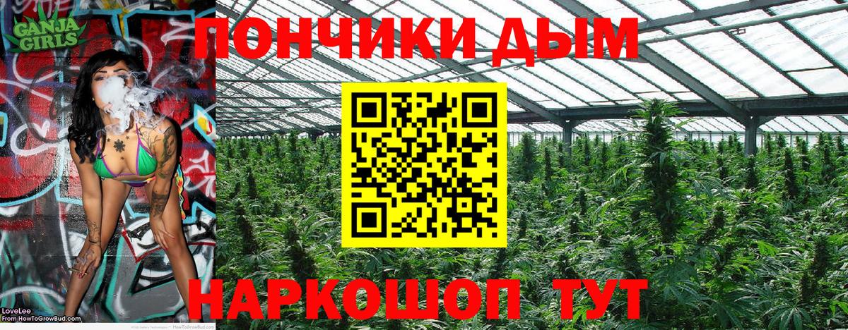 Марихуана OG Kush Новороссийск